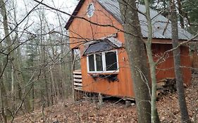 Vana Kuti-Cabin In The Woods