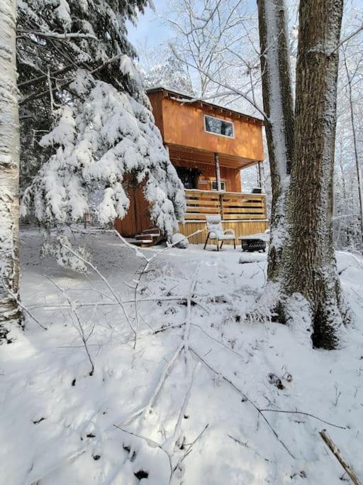 Vana Kuti-Cabin In The Woods Camden Exterior photo