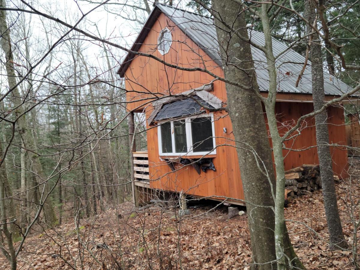 Vana Kuti-Cabin In The Woods Camden Exterior photo